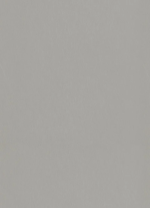 KOV STRIEBORNOSEDY BRUS. (F765) - ST20
