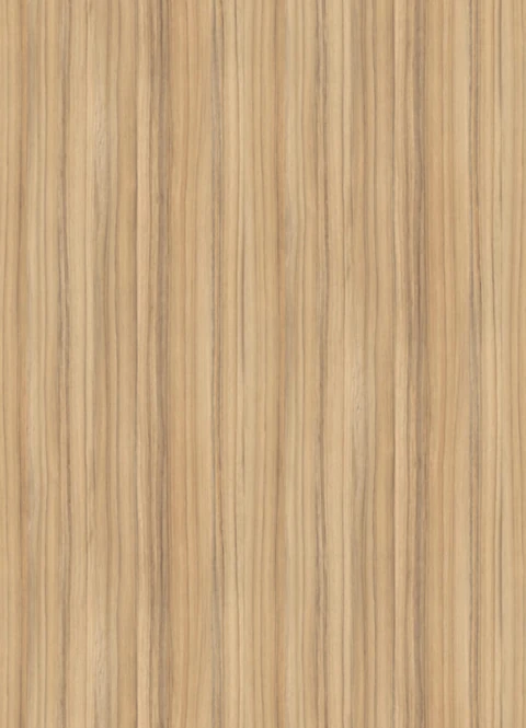 COCO BOLO  (H3012) - ST22