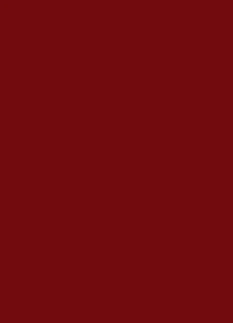 CERVENA BURGUNDY (U311) - ST9