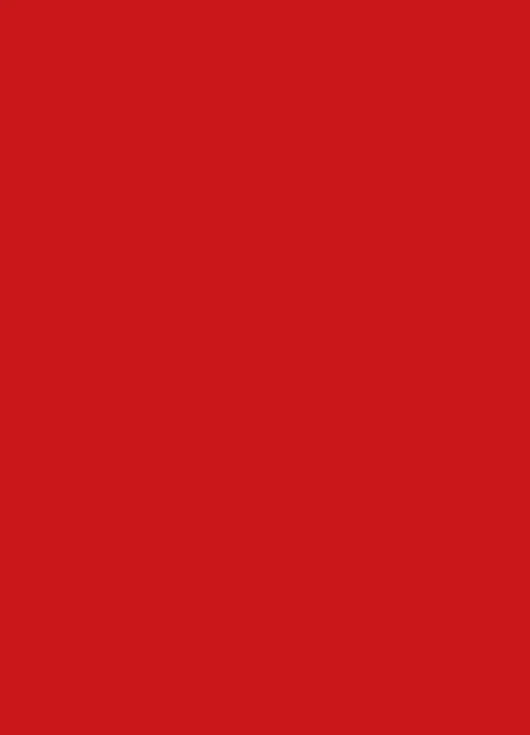CERVENA CINSKA (U321) - ST9