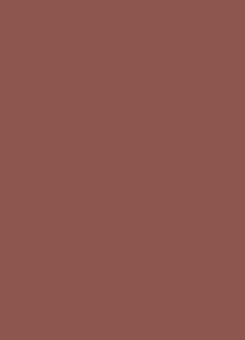 CERVENA HRDZAVA (U335) - ST9
