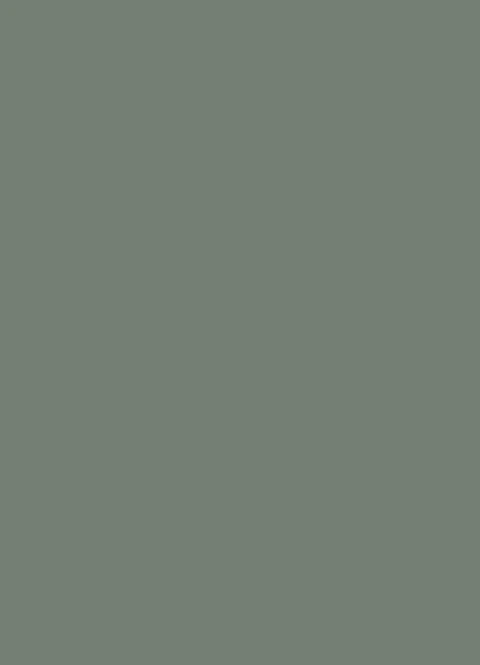 ZELENA EUKALYPTOVA (U604) - ST9