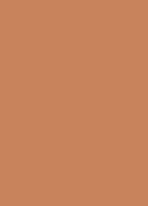 NUDE KARAMELOVA (U830) - ST9